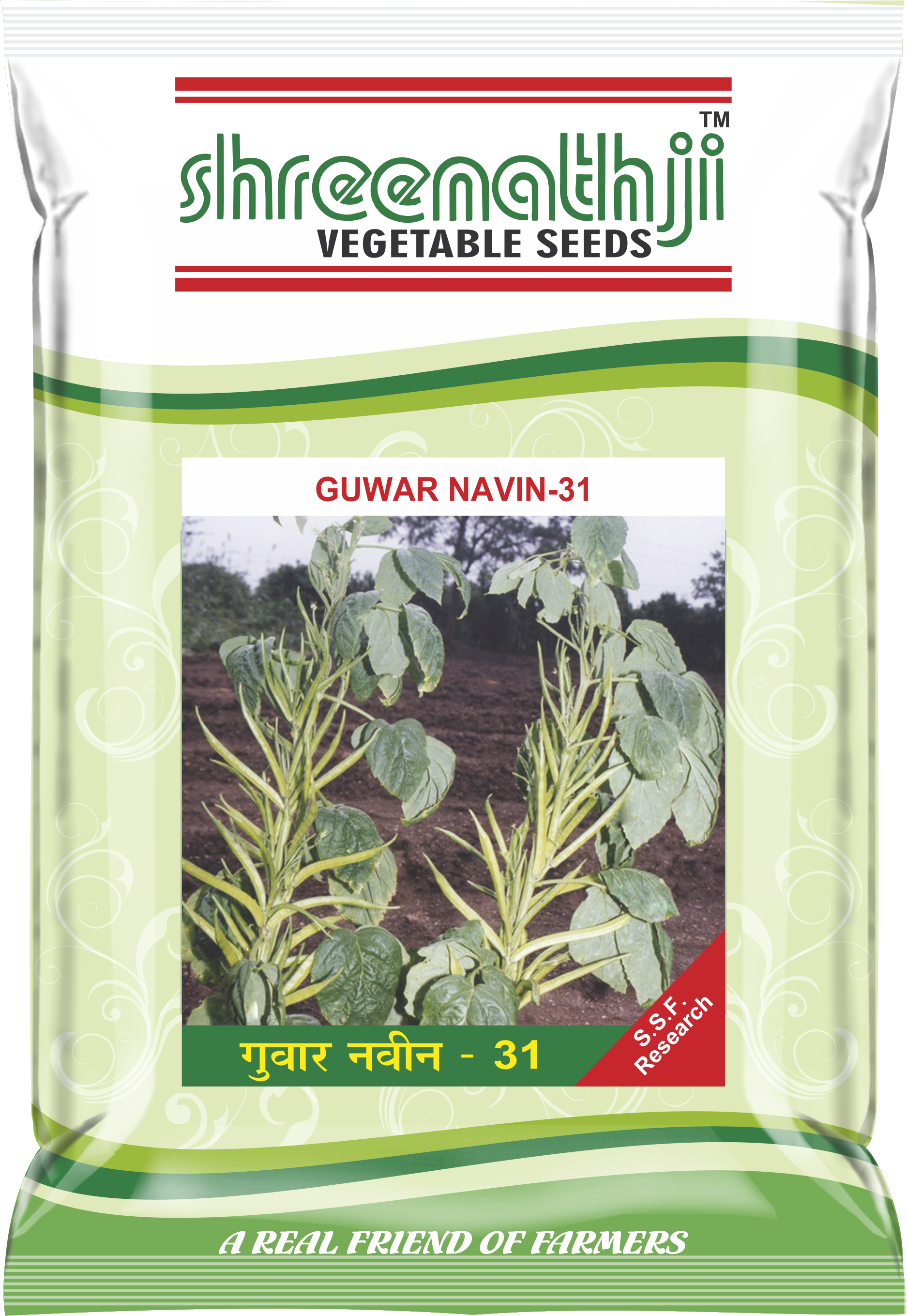 ગુવાર નવીન - 31